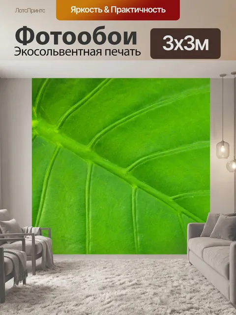 Фотообои Детали зеленого листа