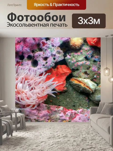 Фотообои Моллюски, море Anenome и Coral
