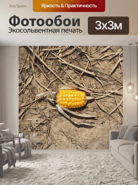 Фотообои Сладкая кукуруза