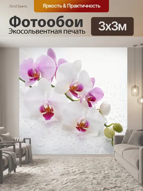 Фотообои Белые и розовые орхидеи