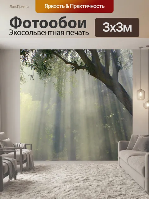Фотообои Туманный