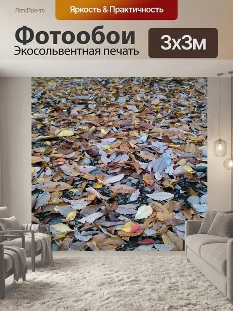 Фотообои Осень