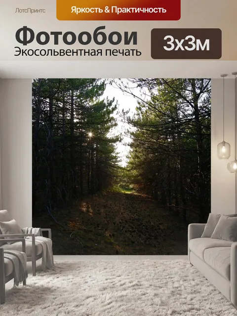 Фотообои Лес