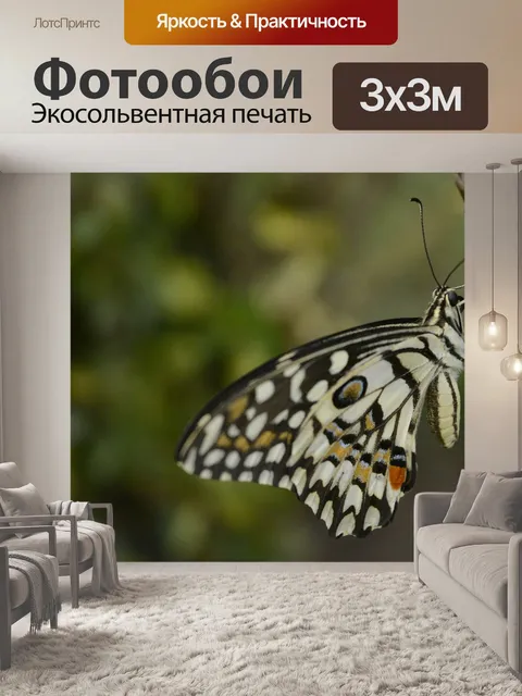 Фотообои Бабочка