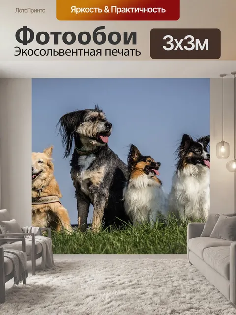 Фотообои Четыре собаки