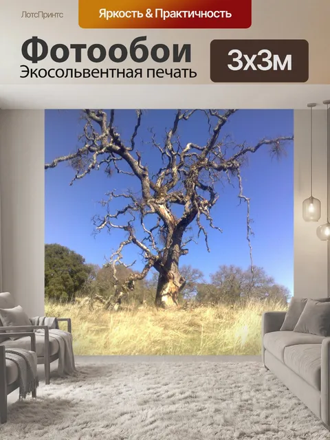 Фотообои Мертвое дерево