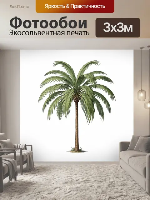 Фотообои Тропическая пальма на белом фоне