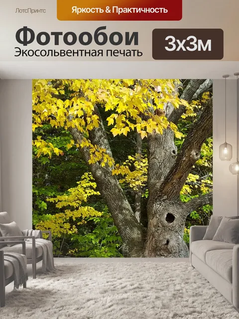 Фотообои Осень