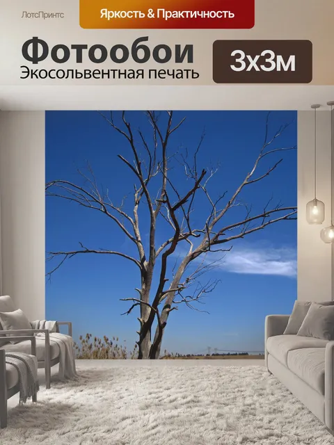 Фотообои мертвое дерево на фоне голубого неба