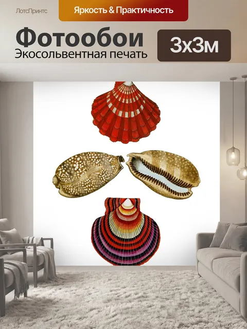 Фотообои Винтажное искусство из ракушек