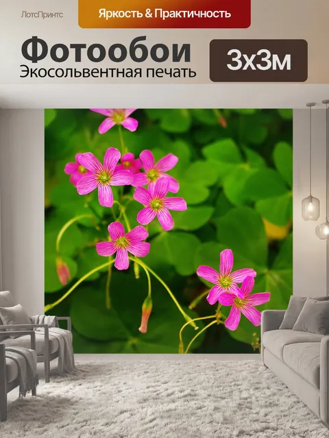 Фотообои Цветы