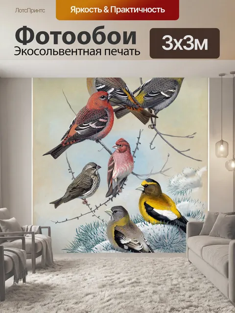 Фотообои Винтажная живопись птиц