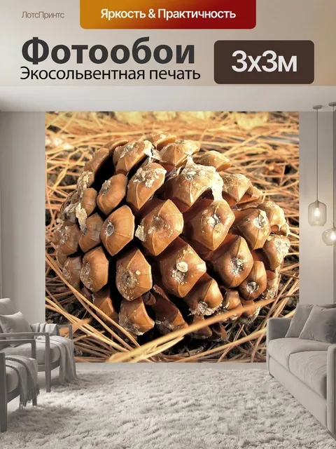 Фотообои Конус