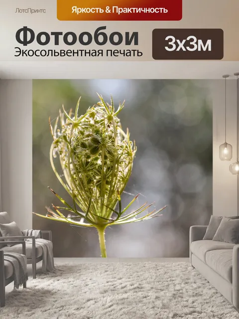 Фотообои Цвести