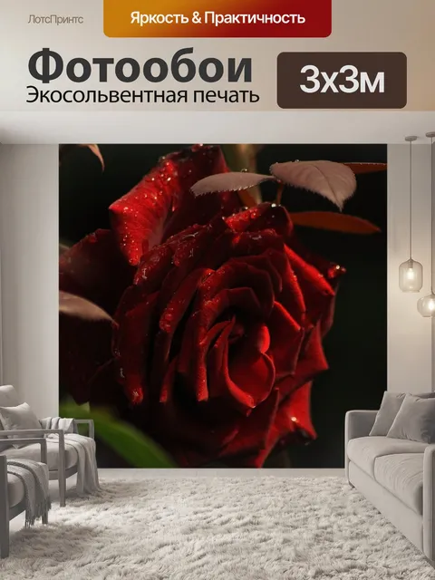 Фотообои Роза