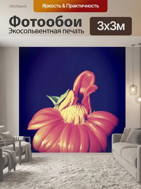 Фотообои Красивый цветок