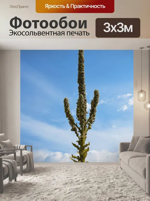 Фотообои Люпин