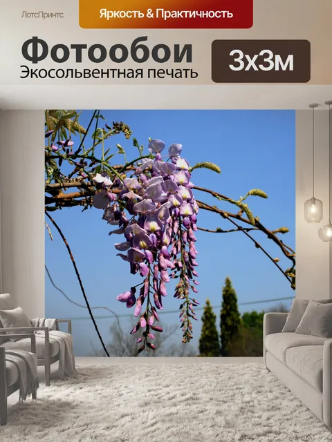 Фотообои Синий дождь цветения