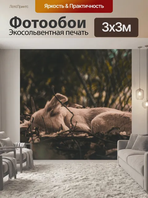 Фотообои Собака
