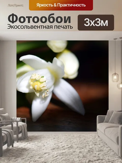 Фотообои Цвести
