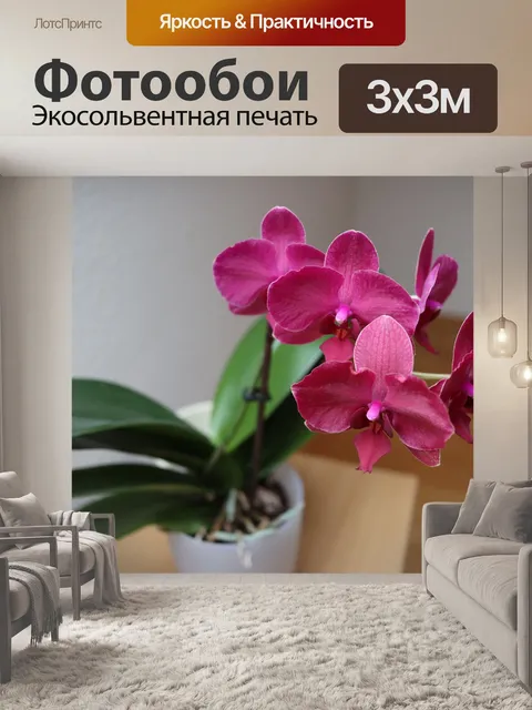 Фотообои Орхидея в доме