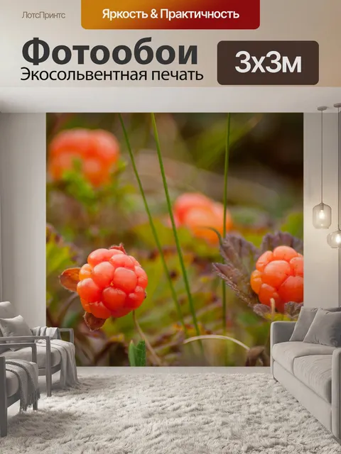 Фотообои Морошка буша производит