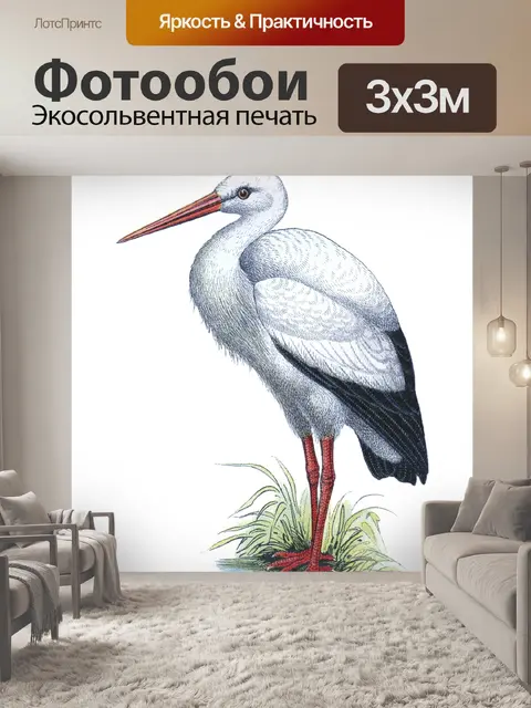 Фотообои Винтажная иллюстрация аиста