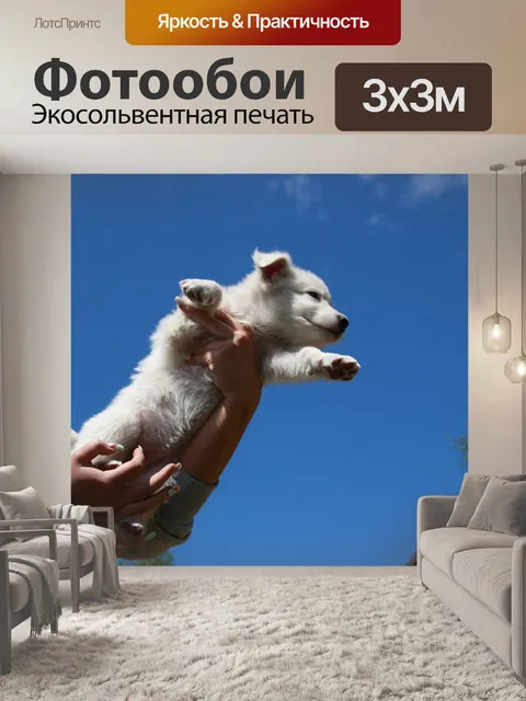 Фотообои Собака