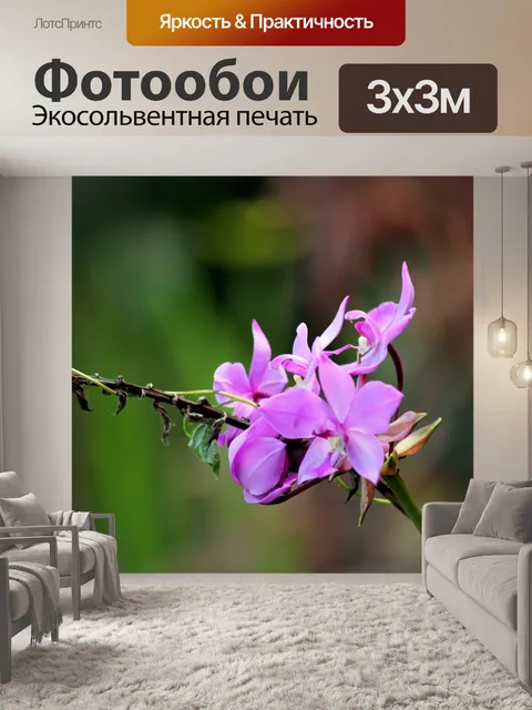 Фотообои Фиолетовый цветок фоне 5