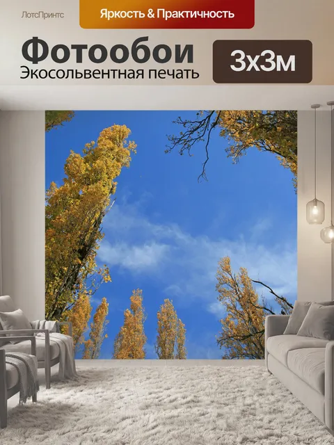 Фотообои высокие тополя