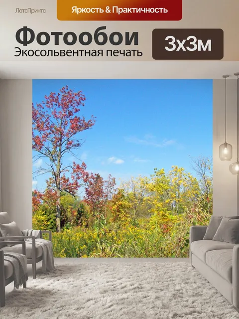 Фотообои Осенние деревья
