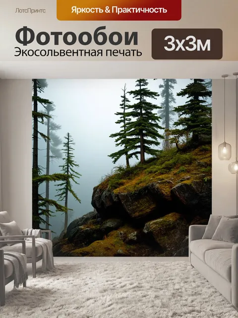 Фотообои на краю леса, где еловые деревья растут на скалистом утесе, туман стелится по земле, придавая…