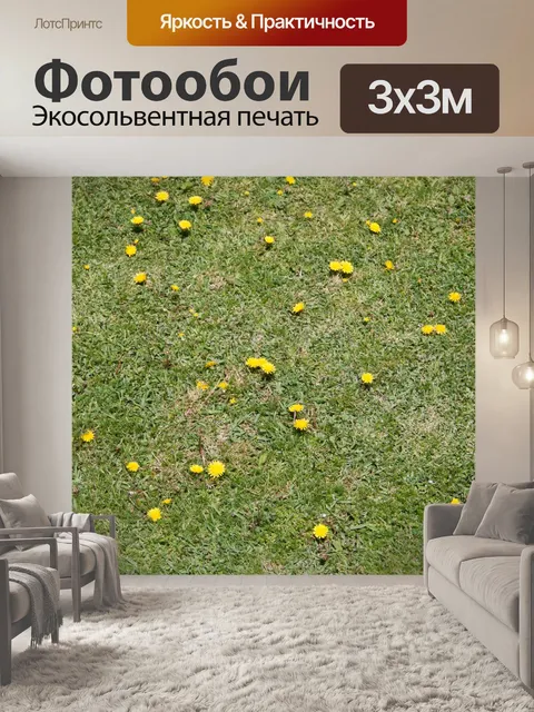 Фотообои Газон с фоном одуванчиков