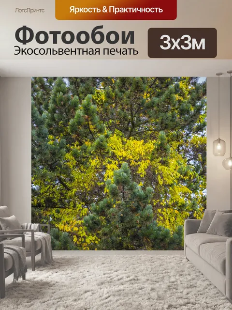 Фотообои Осенние листья