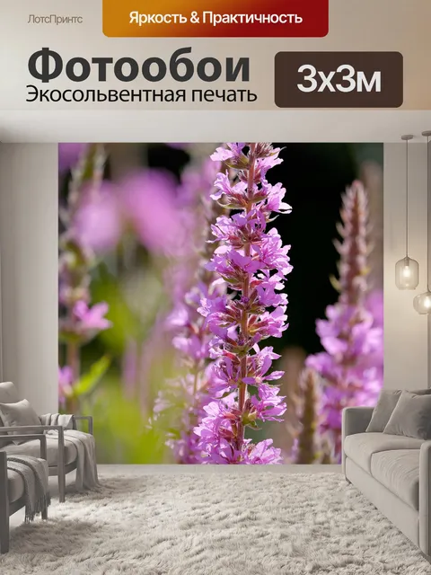 Фотообои Лаванда