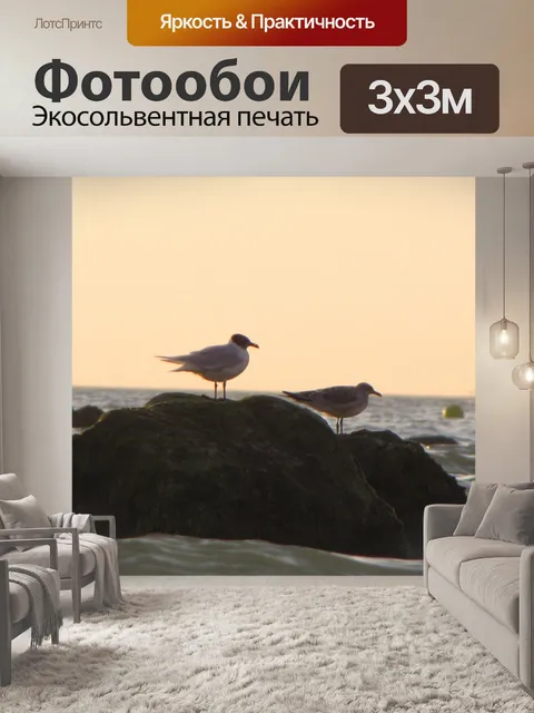 Фотообои Рок-н Чайка