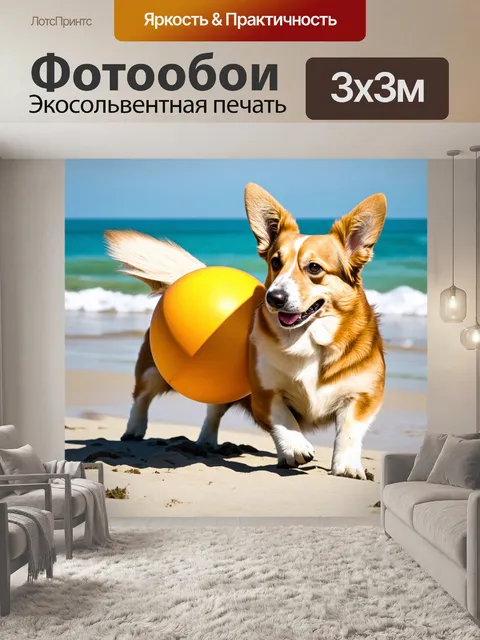 Фотообои корги играет с мячом на пляже, его шерсть блестит на солнце