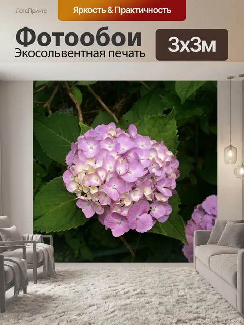 Фотообои Гортензия