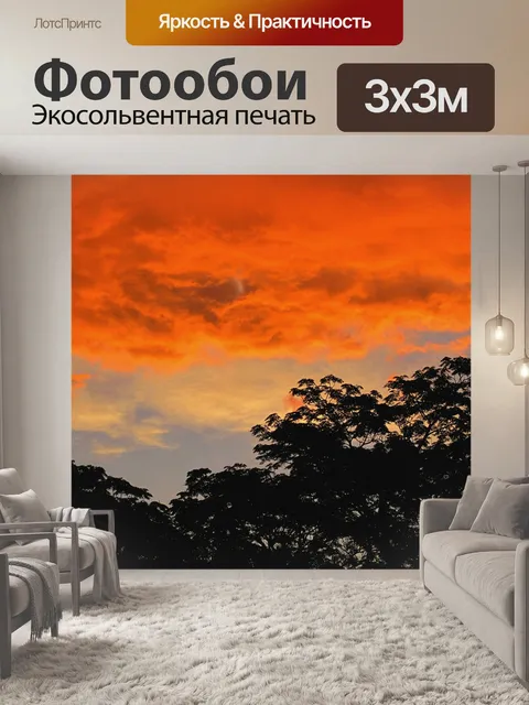 Фотообои Апельсин