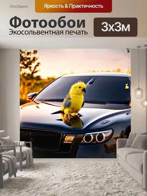 Фотообои корелла, яркая декоративная птица, грациозно сидит на изящном капоте автомобиля, покрытого блестящим слоем…