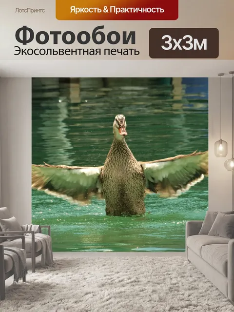 Фотообои Утка машет крыльями в озере