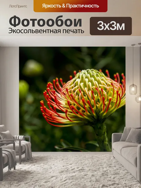 Фотообои Цветок