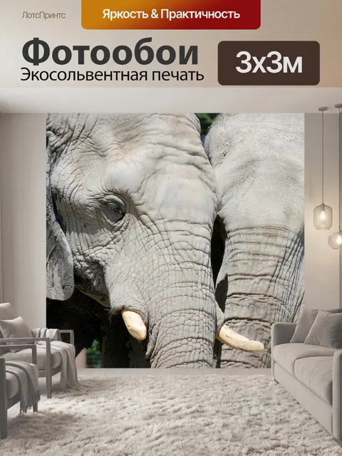 Фотообои Слон шепчет