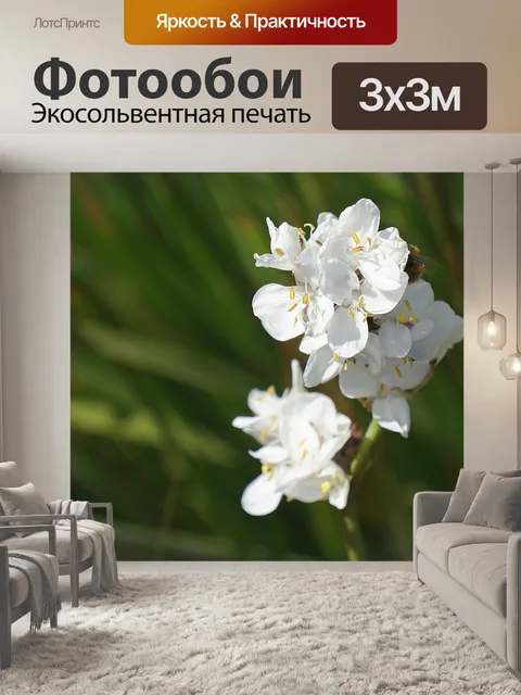 Фотообои белые цветы
