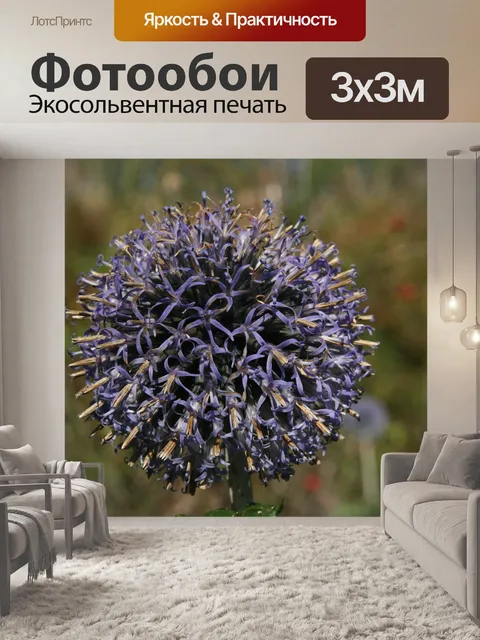 Фотообои Падение