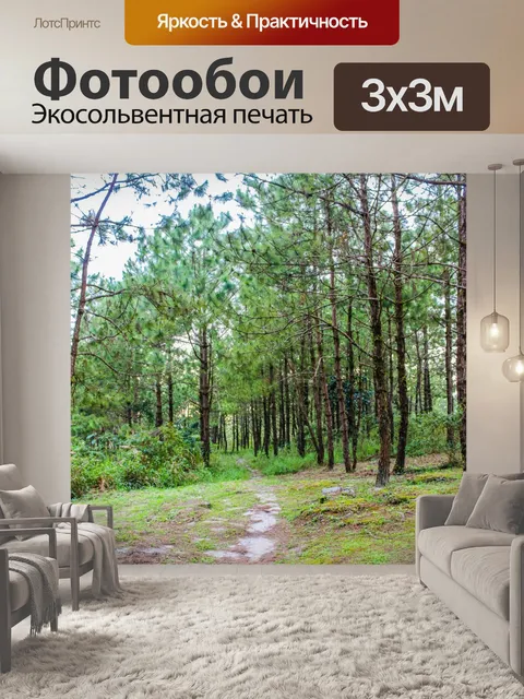 Фотообои Национальный парк Фуруа, Лоэй Таиланд