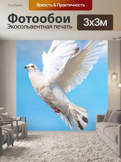 Фотообои Белый голубь
