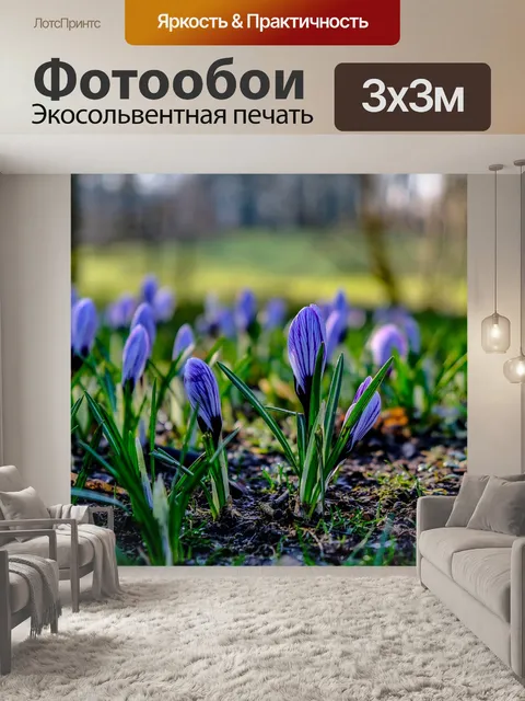 Фотообои Глазго
