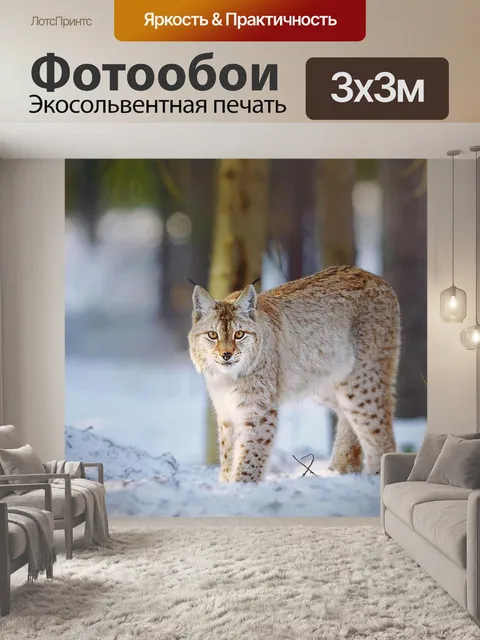 Фотообои Рысь