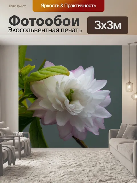 Фотообои Сливовый босс